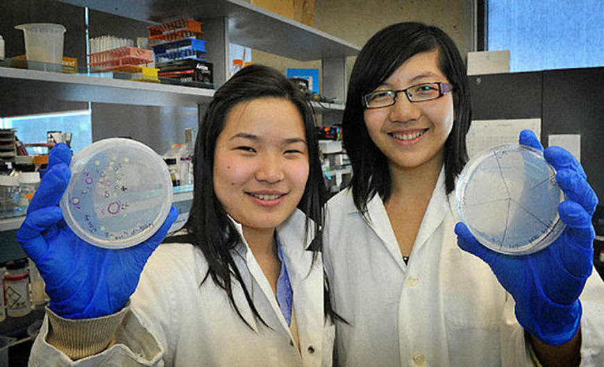  Estudiantes inventan bacteria que come plástico de los océanos y lo convierte en agua